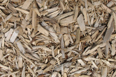 biomass boilers Frieston