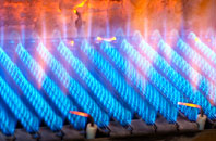 Frieston gas fired boilers